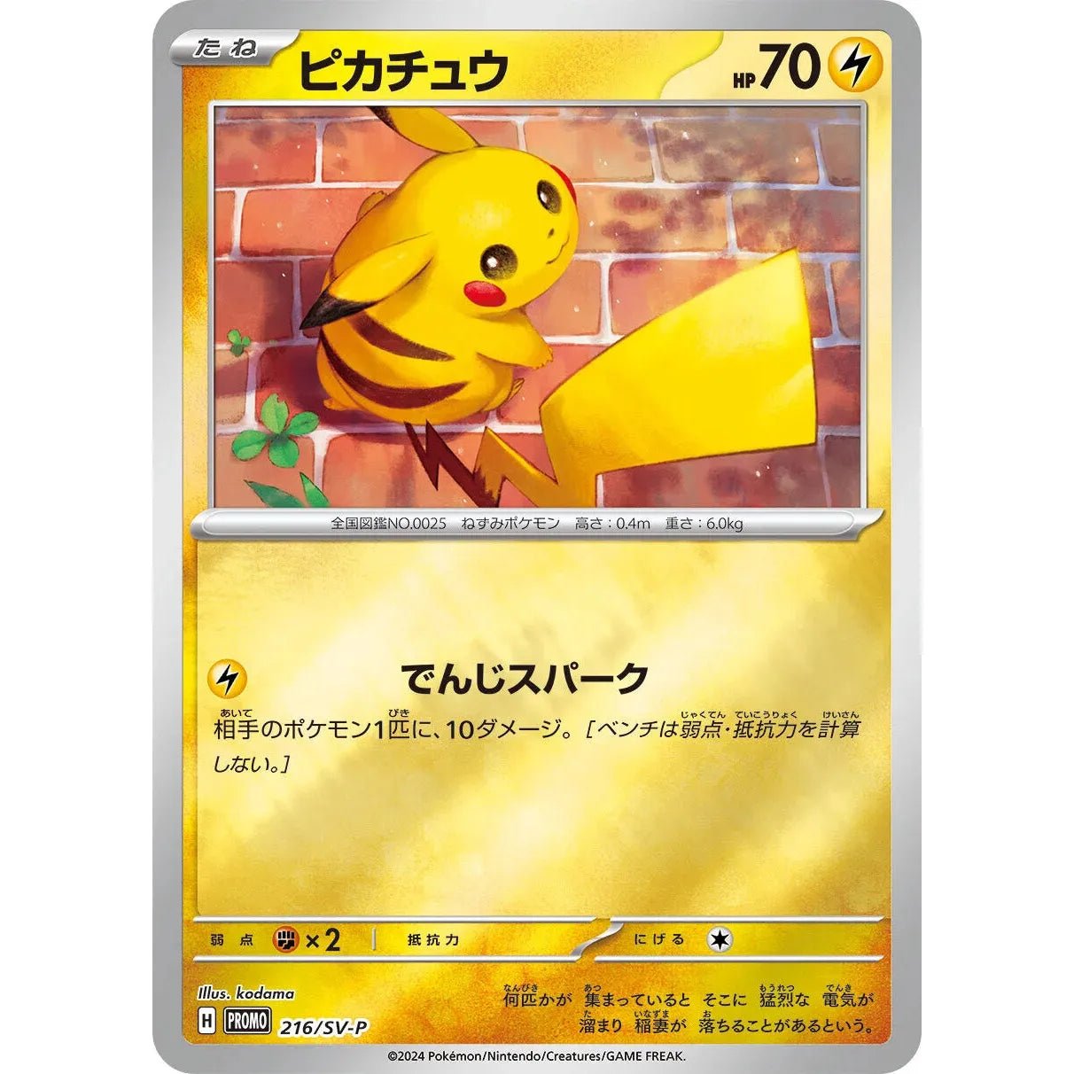 Pokémon Summer is Here! 2024 Promo Pack JP - Pokeca.NL